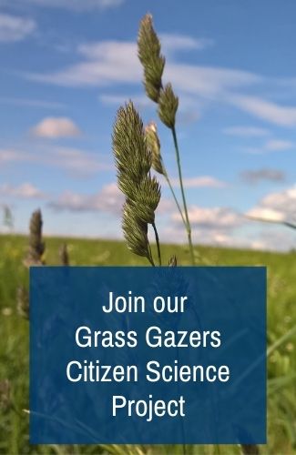 Join our Grass Gazers Citizen Science Project